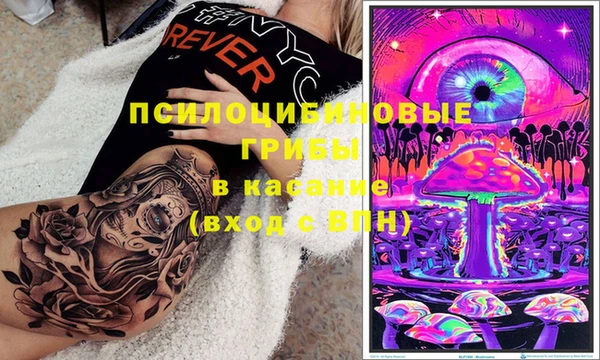 ГАЛЛЮЦИНОГЕННЫЕ ГРИБЫ Богородицк
