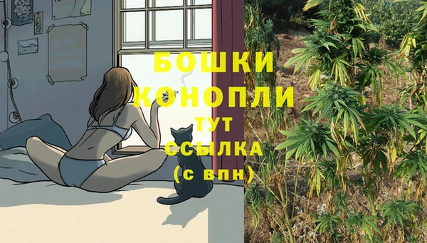 ГАЛЛЮЦИНОГЕННЫЕ ГРИБЫ Богородицк