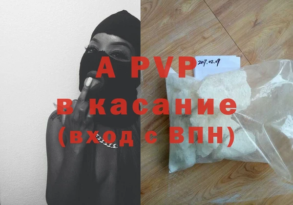 спиды Богородск
