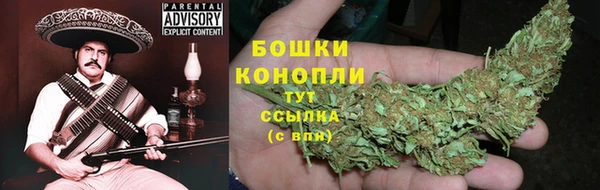 спиды Богородск