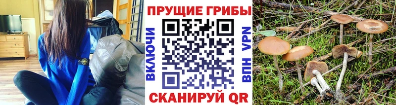 Галлюциногенные грибы MAGIC MUSHROOMS Дагестанские Огни